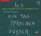 David Sedaris, Gerd Haffmans, Harry Rowohlt - Ich ein Tag sprechen hübsch, 2 Audio-CDs (Hörbuch)