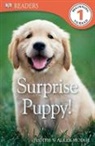Judith Hodge, Judith Walker-Hodge - DK Readers L1: Surprise Puppy