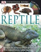 Colin McCarthy - Reptile