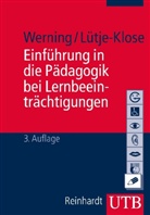 Birgit Lütje-Klose, Rol Werning, Rolf Werning - Einführung in die Pädagogik bei Lernbeeinträchtigungen