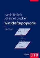 Haral Bathelt, Harald Bathelt, Johannes GlÃ¼ckler, Johannes Glückler - Wirtschaftsgeographie