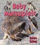 Bobbie Kalman - Baby Marsupials