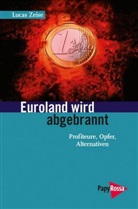 Lucas Zeise - Euroland ist abgebrannt
