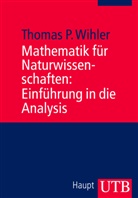 Thomas Wihler - Mathematik für Naturwissenschaften: Einführung in die Analysis