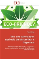 Nicolas Brosse, Rolan El Hage, Roland El Hage, Roland El Hage - Vers une valorisation optimale du