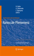 Horst Hahn, Anatol Sidorenko, Anatoli Sidorenko, Anatolie Sidorenko, Ion Tiginyanu - Nanoscale Phenomena