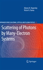 Alexey Hopersky, Alexey N Hopersky, Alexey N. Hopersky, Victor A Yavna, Victor A. Yavna - Scattering of Photons by Many-Electron Systems