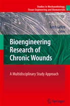 Ami Gefen, Amit Gefen - Bioengineering Research of Chronic Wounds
