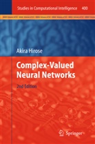 Akira Hirose - Complex-Valued Neural Networks