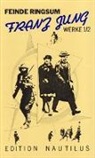 Franz Jung - Werke - Bd.1/2: Werke / Feinde ringsum. Prosa und Aufsätze 1912-63. Tl.2