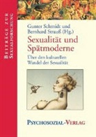 Gunter Schmidt, Gunter  Strauss Schmidt, Bernhard Strauß - Sexualität und Spätmoderne