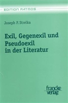 Joseph P Strelka, Joseph P. Strelka - Exil, Gegenexil und Pseudoexil in der Literatur