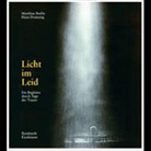 Matthias Brefin, Hans Domenig, Hans Domenig - Licht im Leid