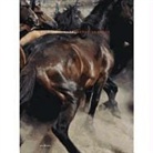Cristobal Hara, Cristóbal Hara - Cristobal Hara Autobiography /Anglais