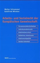 Walter Schrammel, Gottfried Winkler - Arbeits- und Sozialrecht der Europäischen Gemeinschaft