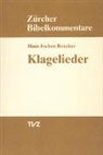 Hans Jochen Boecker - Klagelieder
