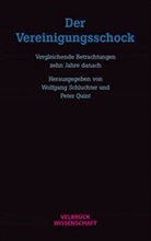 Peter Quint, Peter E. Quint, Wolfgang Schluchter - Der Vereinigungsschock
