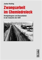 Justus Vesting - Zwangsarbeit im Chemiedreieck