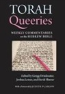 Bruce Baum, David Shneer, David/ Drinkwater Shneer, Gregg Drinkwater, Joshua Lesser, David Shneer - Torah Queeries