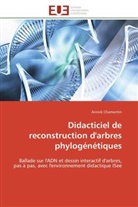 Annick Chamontin, Chamontin-a - Didacticiel de reconstruction d