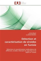 Amin Elleuch, Amine Elleuch, Hate Fkahfakh, Hatem Fkahfakh, Mohamed Marrakchi - Detection et caracterisation de