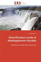 Erik Kountchou, Kountchou-e - Electrification rurale et