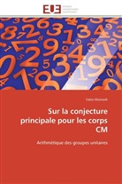 Fabio Mainardi, Mainardi-f - Sur la conjecture principale pour