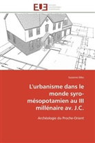 Suzanne Dibo, Dibo-S - L urbanisme dans le monde syro