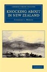 Charles L. Money, Money Charles L. - Knocking About in New Zealand
