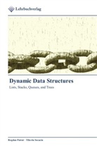 Bogda Patrut, Bogdan Patrut, Tiberiu Socaciu - Dynamic Data Structures