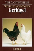 Siegfried Scholtyssek - Geflügel