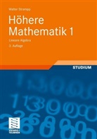 Walter Strampp - H&ouml;here Mathematik - 1: Lineare Algebra