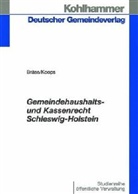 Uwe Bräse, Michael Koops - Gemeindehaushalts- und Kassenrecht Schleswig-Holstein