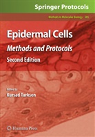 Kursa Turksen, Kursad Turksen - Epidermal Cells