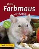 Melanie Teubler - Meine Farbmaus zu Hause