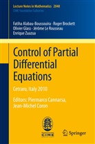 Fatih Alabau-Boussouira, Fatiha Alabau-Boussouira, Roge Brockett, Roger Brockett, Sylvain Ervedoza, O Glass... - Control of Partial Differential Equations