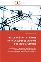 Noureddine Raouafi, Raouafi-N - Reactivite des amidines
