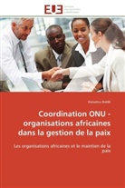 Hassatou Baldé, Balde-H - Coordination onu organisations