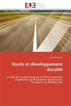 Emmanuel Yoni, Yoni-E - Route et developpement durable