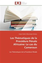 Dzesseu-s, Serges Frédéric Mboumegne Dzesseu - Les thematiques de la procedure