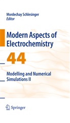 Mordecha Schlesinger, Mordechay Schlesinger - Modelling and Numerical Simulations II