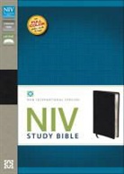 New International Version, New International Version - Bible