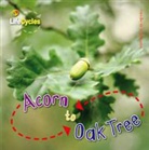 Camilla De la Bedoyere, De la Bedoyere Camilla - Acorn to Oak Tree