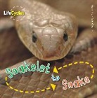 Camilla De La Bedoyere, Camilla de le Bédoyère, Camilla DeLaBedoyere - Snakelet to Snake