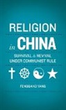 Fenggang Yang, Yang Fenggang - Religion in China