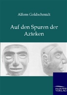 Alfons Goldschmidt - Auf den Spuren der Azteken