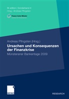 Andrea Pfingsten, Andreas Pfingsten - Ursachen und Konsequenzen der Finanzkrise