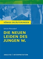 Rüdiger Bernhardt, Ulrich Plenzdorf - Ulrich Plenzdorf 'Die neuen Leiden des jungen W.'