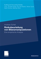 Andrea Schiel, Andreas Schiel - Risikobeurteilung von Bilanzmanipulationen
