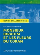 Eric-Emmanuel Schmitt, Éric-Emmanuel Schmitt - Éric-Emmanuel Schmitt 'Monsieur Ibrahim et les fleurs du Coran'